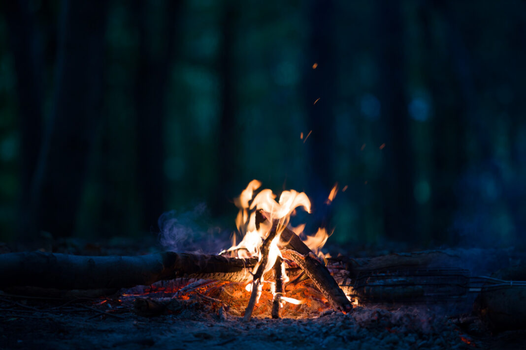 огонь костер лес