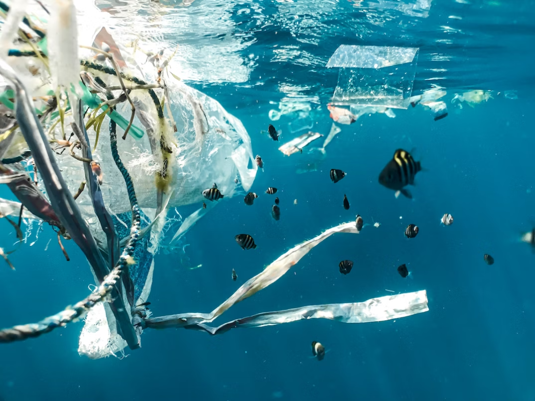 пластик океан загрязнение