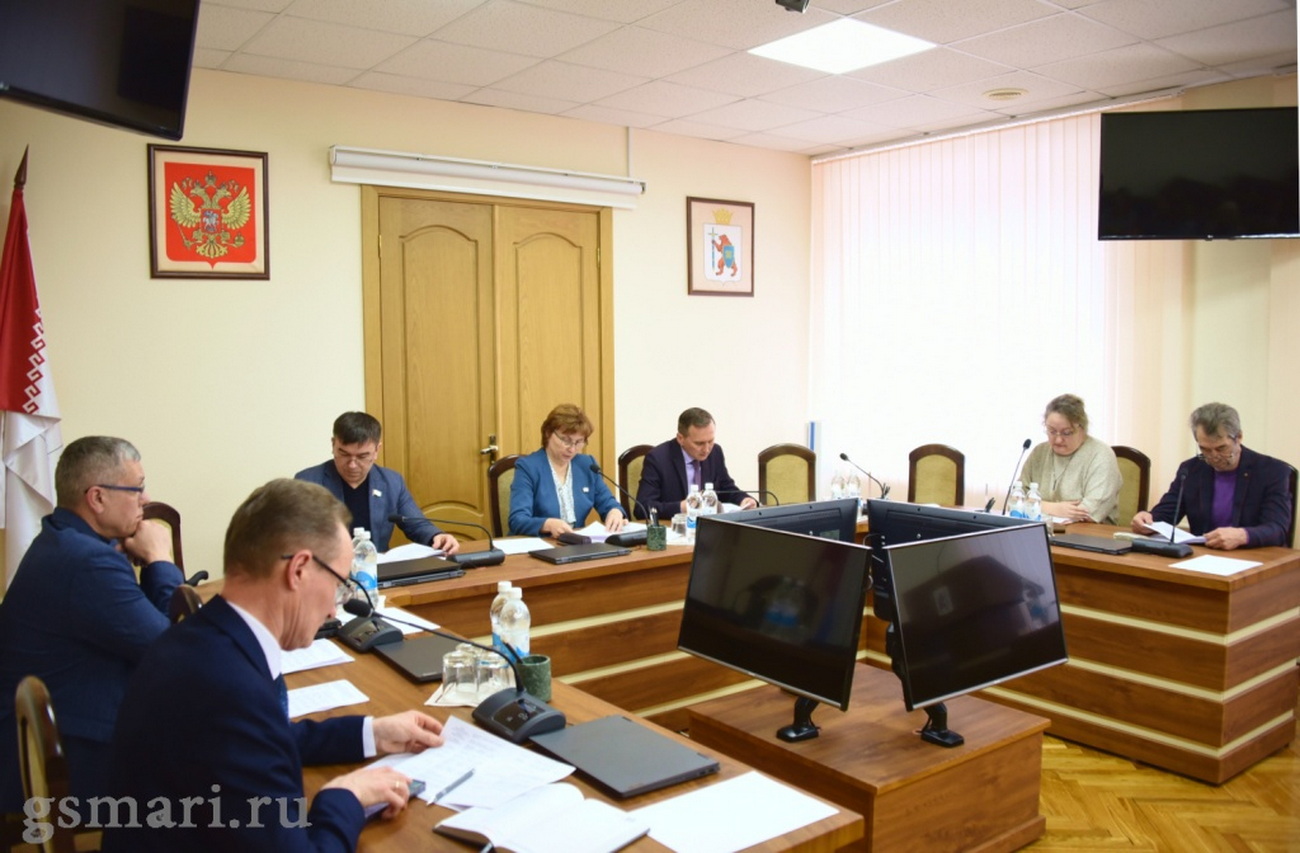 Депутаты и медики Марий Эл обсуждают закон о запрете принуждения к аборту